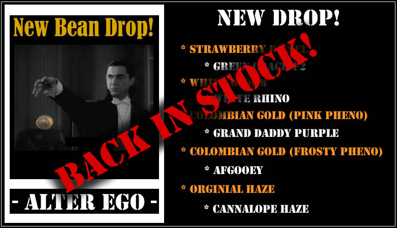 Alter Ego New drop